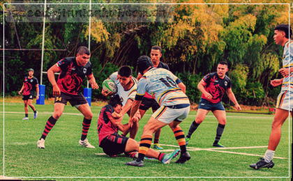 轻触指尖 随心探索